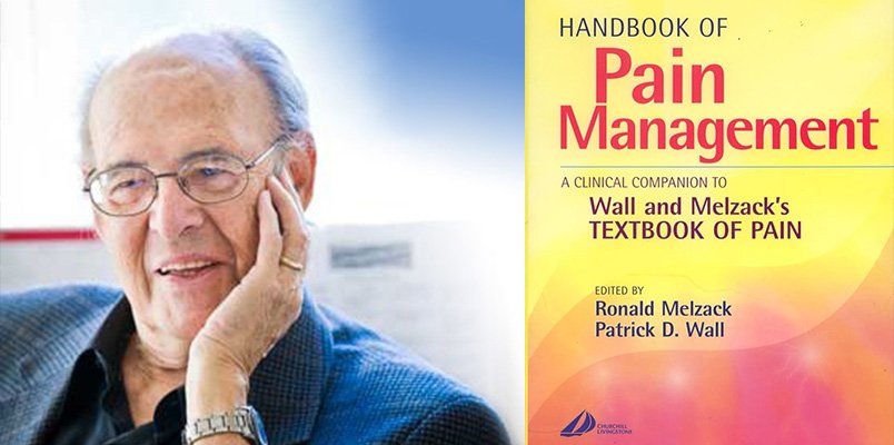 google a superpatch melzack vyskum bolesti